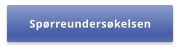 Spørreundersøkelsen