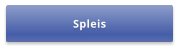 Spleis